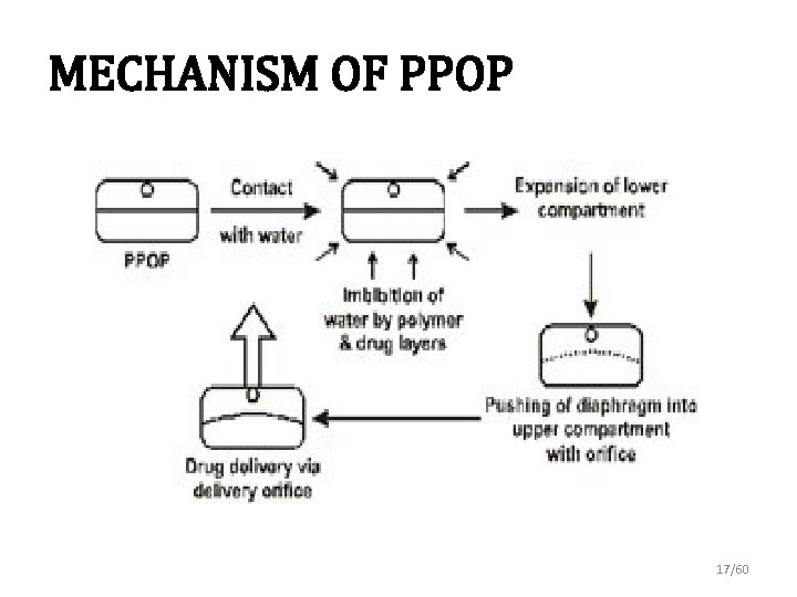 MECHANISM OF PPOP 17/60 