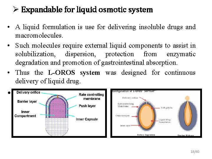 Ø Expandable for liquid osmotic system • A liquid formulation is use for delivering