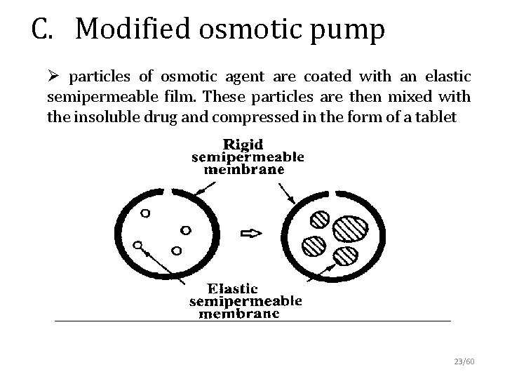 C. Modified osmotic pump Ø particles of osmotic agent are coated with an elastic