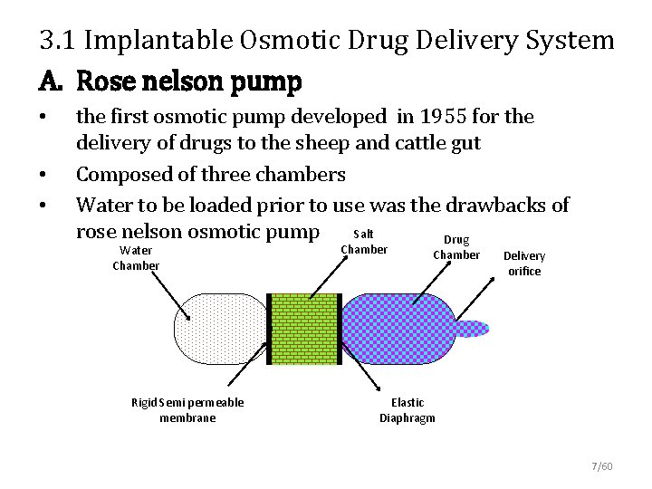 3. 1 Implantable Osmotic Drug Delivery System A. Rose nelson pump • • •