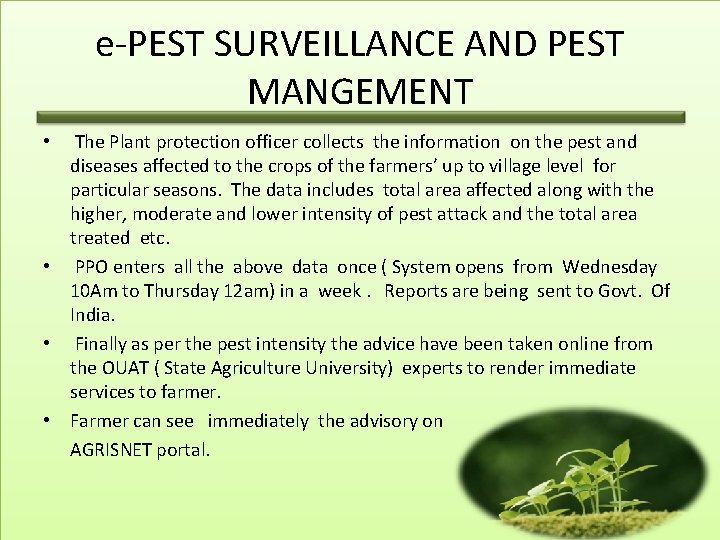 e-PEST SURVEILLANCE AND PEST MANGEMENT • The Plant protection officer collects the information on