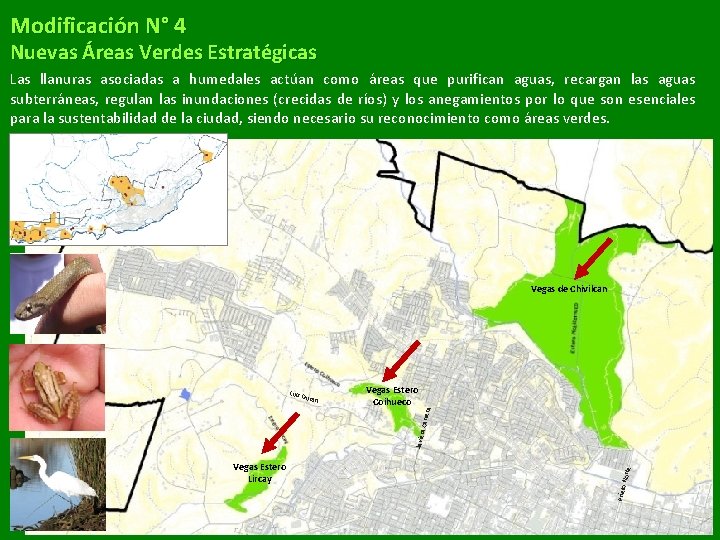 Modificación N° 4 Nuevas Áreas Verdes Estratégicas Las llanuras asociadas a humedales actúan como Modificación N° 4 Nuevas Áreas Verdes Estratégicas Las llanuras asociadas a humedales actúan como