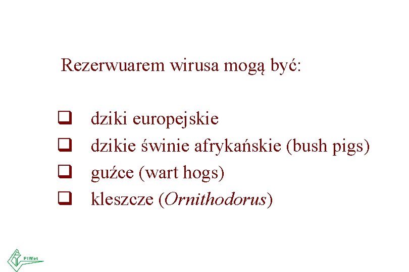 Rezerwuarem wirusa mogą być: q q dziki europejskie dzikie świnie afrykańskie (bush pigs) guźce Rezerwuarem wirusa mogą być: q q dziki europejskie dzikie świnie afrykańskie (bush pigs) guźce
