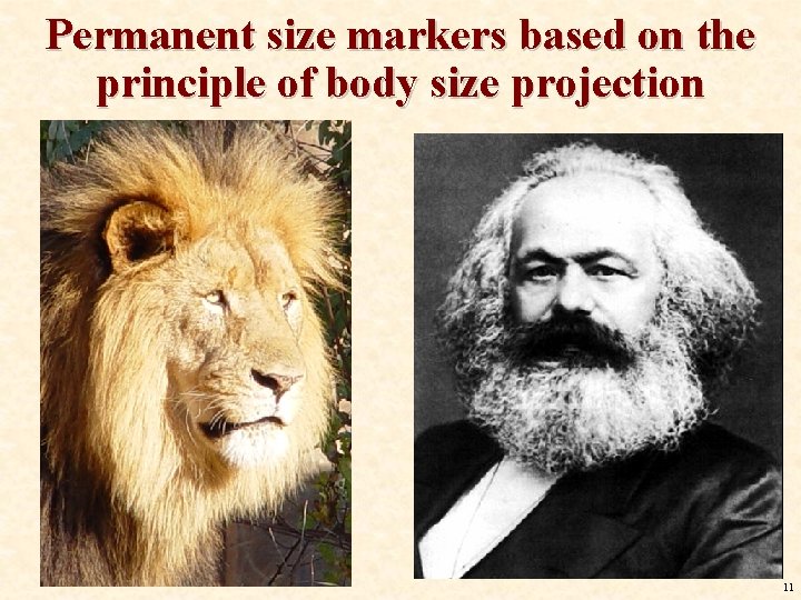 Permanent size markers based on the principle of body size projection The visual strategy Permanent size markers based on the principle of body size projection The visual strategy
