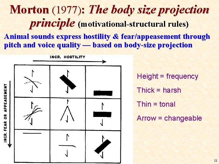 Morton (1977): The body size projection principle (motivational-structural rules) Animal sounds express hostility & Morton (1977): The body size projection principle (motivational-structural rules) Animal sounds express hostility &