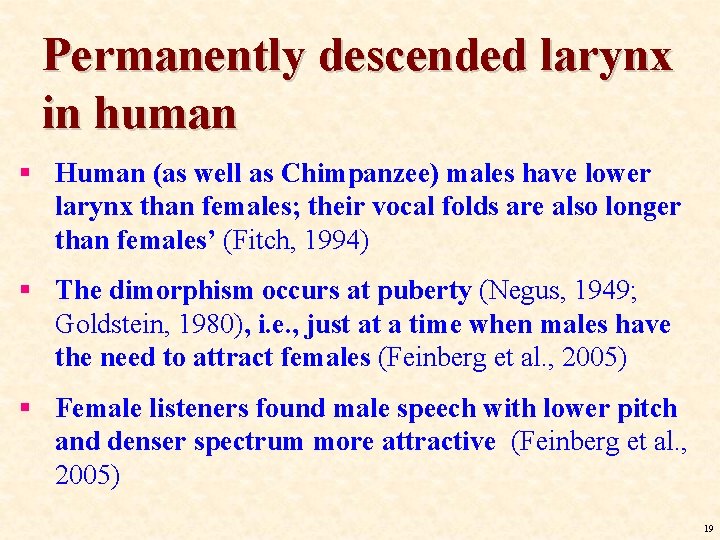 Permanently descended larynx in human § Human (as well as Chimpanzee) males have lower Permanently descended larynx in human § Human (as well as Chimpanzee) males have lower