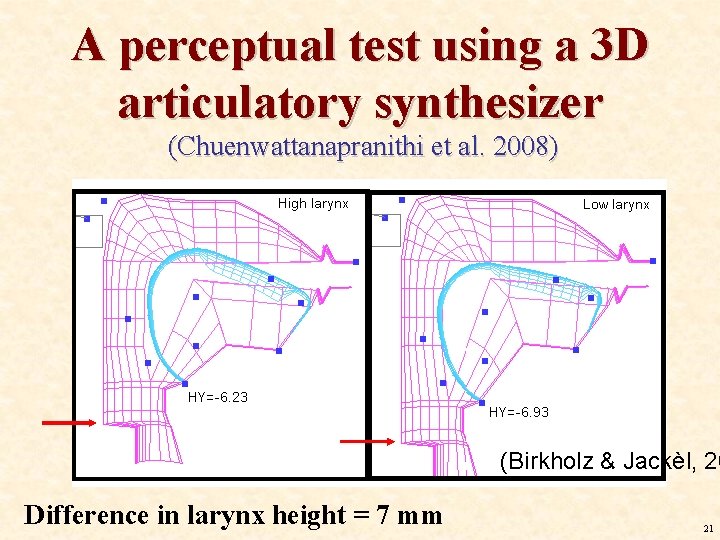 A perceptual test using a 3 D articulatory synthesizer (Chuenwattanapranithi et al. 2008) (Birkholz A perceptual test using a 3 D articulatory synthesizer (Chuenwattanapranithi et al. 2008) (Birkholz