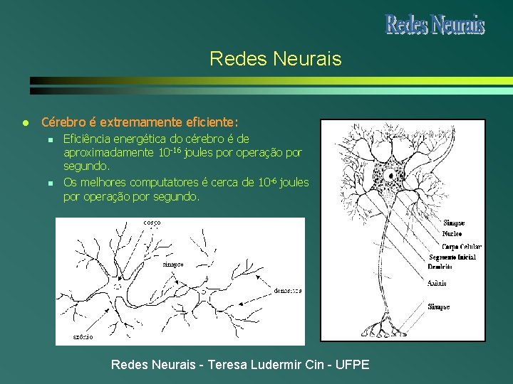 Redes Neurais l Cérebro é extremamente eficiente: n n Eficiência energética do cérebro é Redes Neurais l Cérebro é extremamente eficiente: n n Eficiência energética do cérebro é