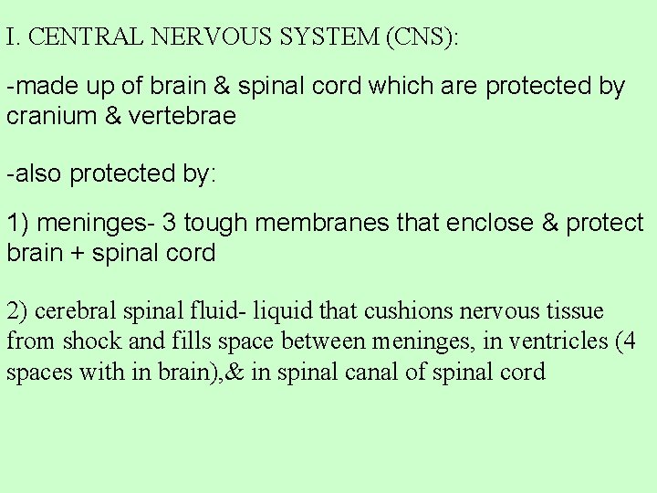 I. CENTRAL NERVOUS SYSTEM (CNS): -made up of brain & spinal cord which are