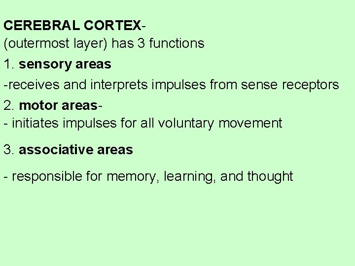 CEREBRAL CORTEX- (outermost layer) has 3 functions 1. sensory areas -receives and interprets impulses