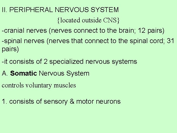 II. PERIPHERAL NERVOUS SYSTEM {located outside CNS} -cranial nerves (nerves connect to the brain;