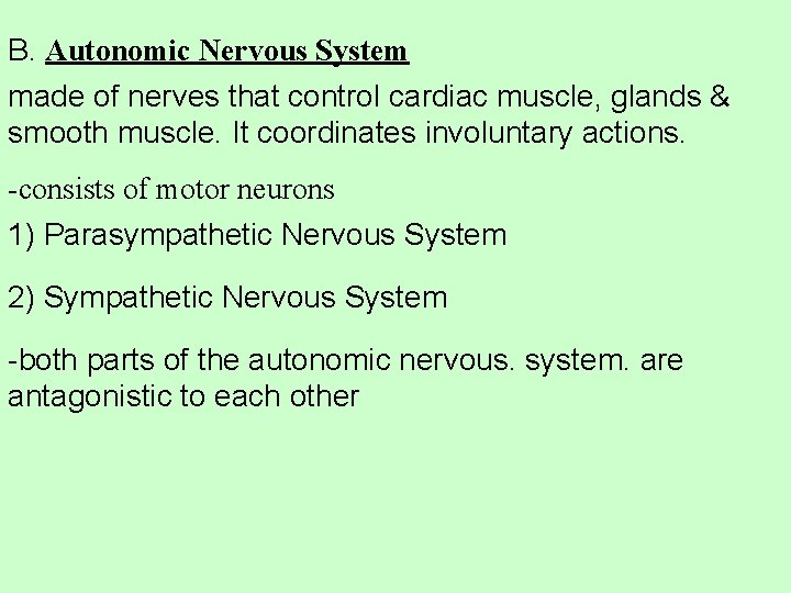 B. Autonomic Nervous System made of nerves that control cardiac muscle, glands & smooth