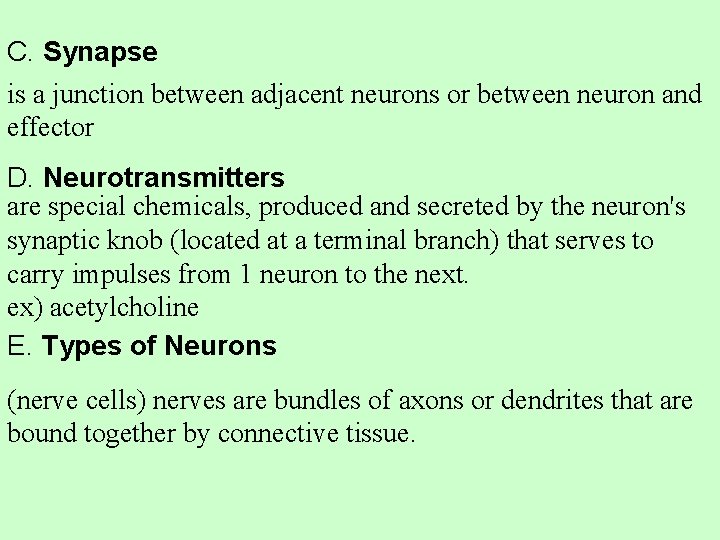 C. Synapse is a junction between adjacent neurons or between neuron and effector D.