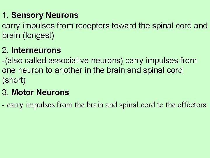 1. Sensory Neurons carry impulses from receptors toward the spinal cord and brain (longest)