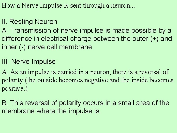 How a Nerve Impulse is sent through a neuron. . . II. Resting Neuron