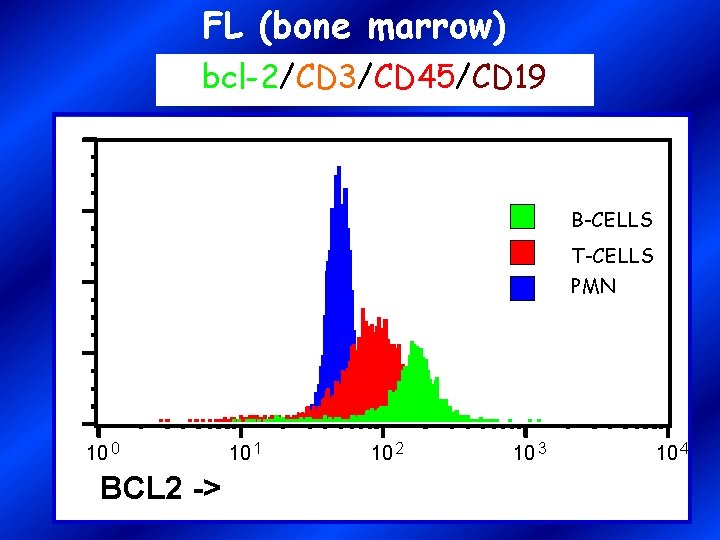FL (bone marrow) bcl-2/CD 3/CD 45/CD 19 B-CELLS T-CELLS PMN 10 0 BCL 2