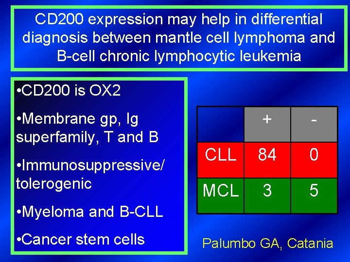 CD 200 expression may help in differential diagnosis between mantle cell lymphoma and B-cell