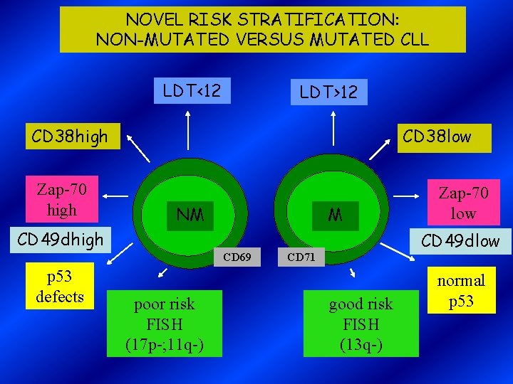 NOVEL RISK STRATIFICATION: NON-MUTATED VERSUS MUTATED CLL LDT<12 LDT>12 CD 38 high Zap-70 high
