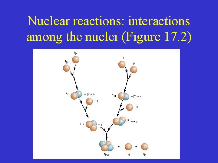 Nuclear reactions: interactions among the nuclei (Figure 17. 2) 