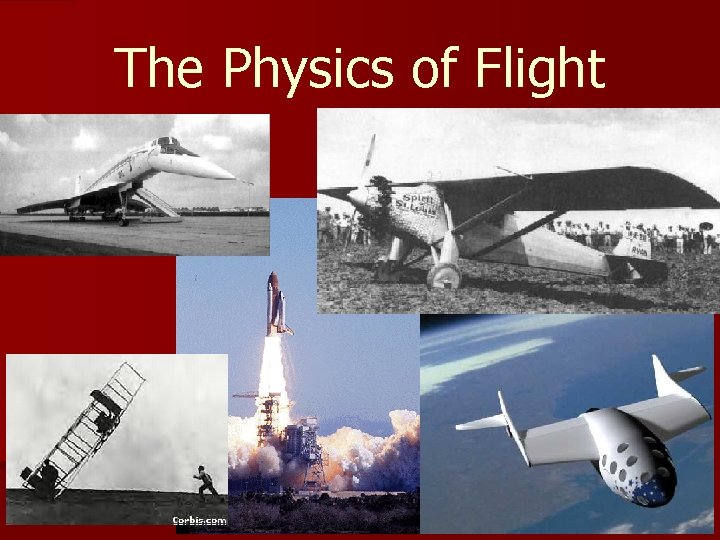 The Physics of Flight 