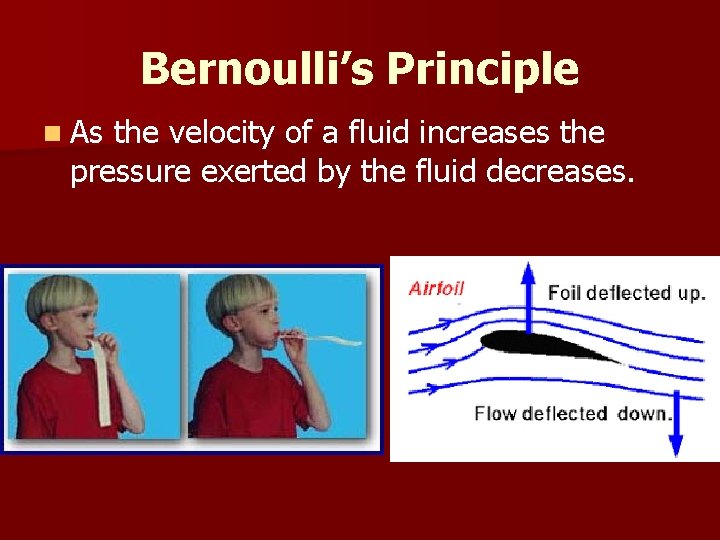 Bernoulli’s Principle n As the velocity of a fluid increases the pressure exerted by