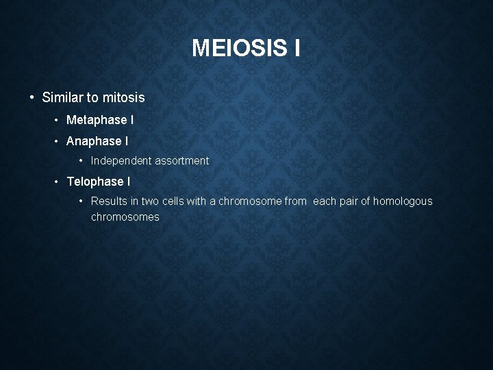 MEIOSIS I • Similar to mitosis • Metaphase I • Anaphase I • Independent