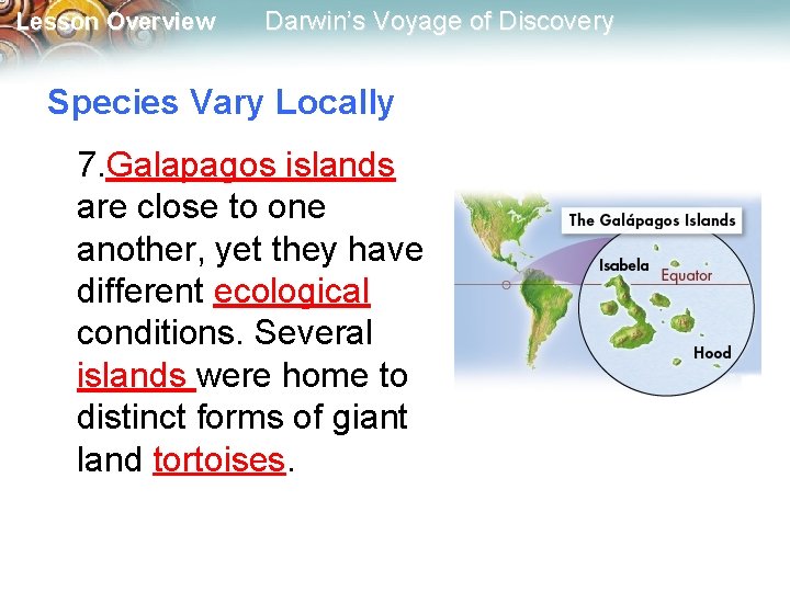 Lesson Overview Darwin’s Voyage of Discovery Species Vary Locally 7. Galapagos islands are close