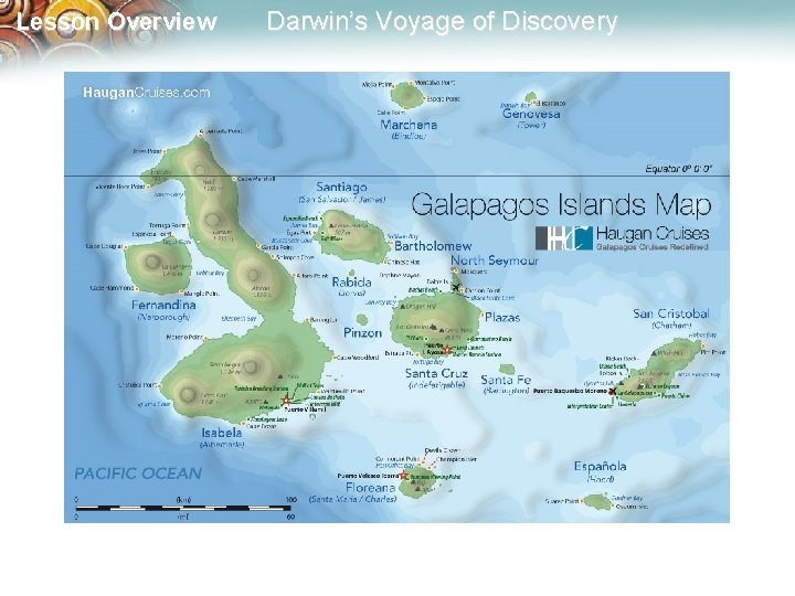 Lesson Overview Darwin’s Voyage of Discovery 