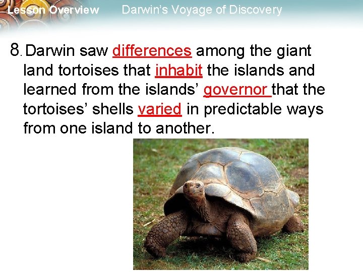 Lesson Overview Darwin’s Voyage of Discovery 8. Darwin saw differences among the giant land