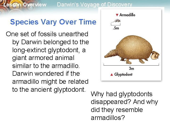 Lesson Overview Darwin’s Voyage of Discovery Species Vary Over Time One set of fossils