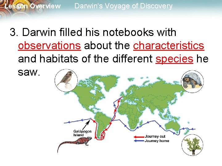 Lesson Overview Darwin’s Voyage of Discovery 3. Darwin filled his notebooks with observations about