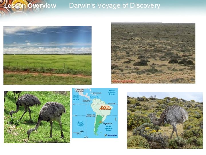 Lesson Overview Darwin’s Voyage of Discovery 