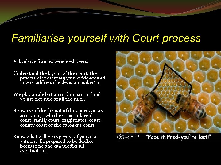 Familiarise yourself with Court process Ask advice from experienced peers. Understand the layout of