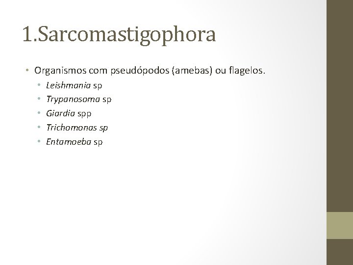1. Sarcomastigophora • Organismos com pseudópodos (amebas) ou flagelos. • • • Leishmania sp