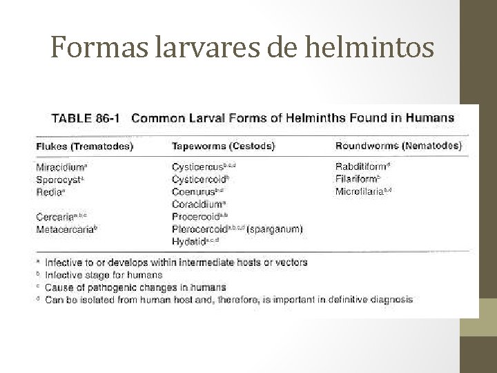 Formas larvares de helmintos 