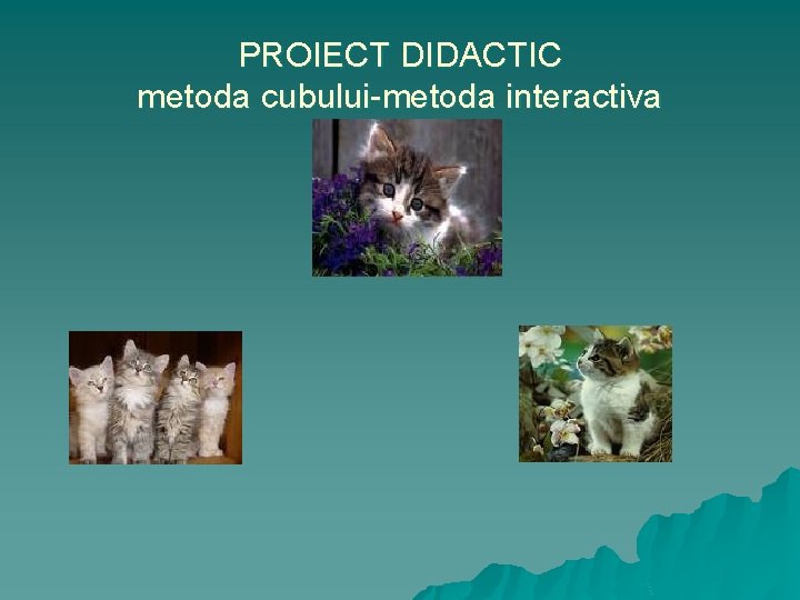 PROIECT DIDACTIC metoda cubului-metoda interactiva 