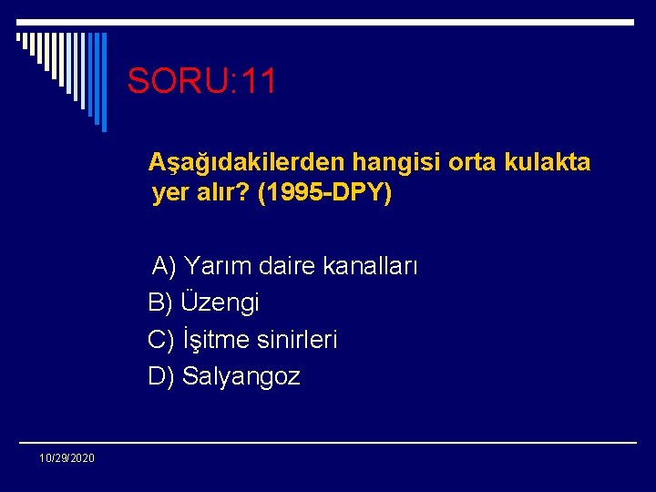 SORU: 11 Aşağıdakilerden hangisi orta kulakta yer alır? (1995 -DPY) A) Yarım daire kanalları