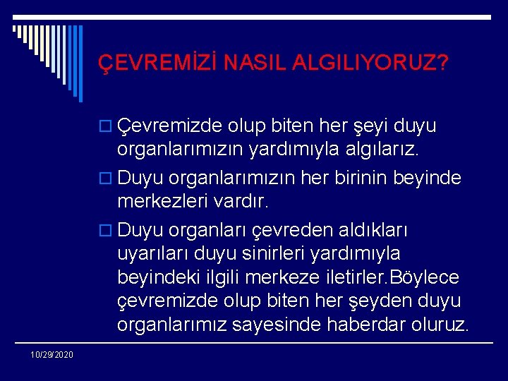 ÇEVREMİZİ NASIL ALGILIYORUZ? o Çevremizde olup biten her şeyi duyu organlarımızın yardımıyla algılarız. o