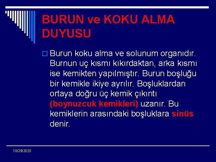 BURUN ve KOKU ALMA DUYUSU o Burun koku alma ve solunum organıdır. Burnun uç