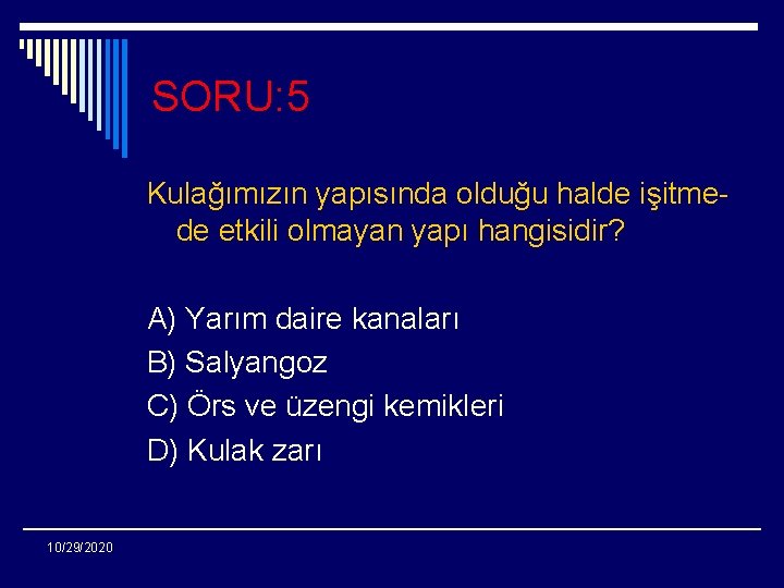 SORU: 5 Kulağımızın yapısında olduğu halde işitmede etkili olmayan yapı hangisidir? A) Yarım daire