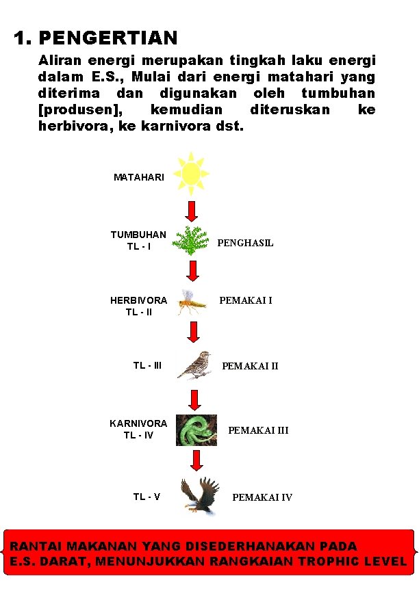 1. PENGERTIAN Aliran energi merupakan tingkah laku energi dalam E. S. , Mulai dari