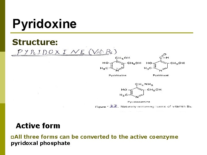 Pyridoxine Structure: Active form p. All three forms can be converted to the active