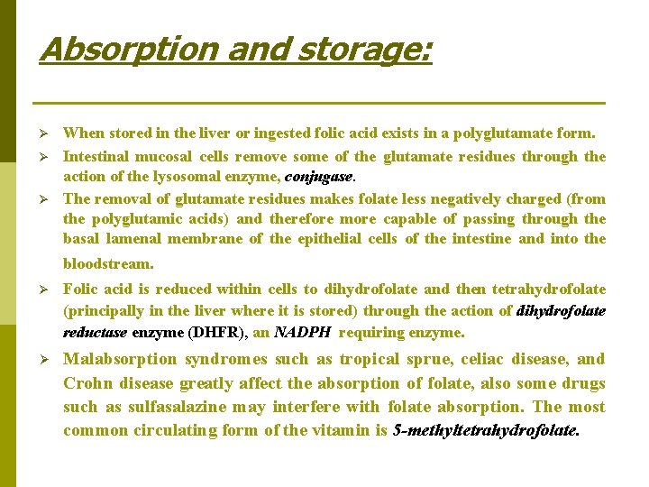 Absorption and storage: Ø Ø Ø When stored in the liver or ingested folic