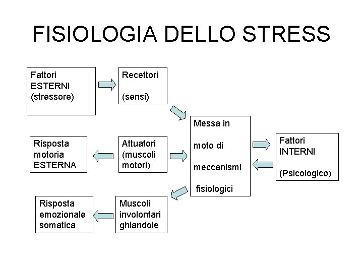 FISIOLOGIA DELLO STRESS Fattori ESTERNI (stressore) Recettori (sensi) Messa in Risposta motoria ESTERNA Attuatori