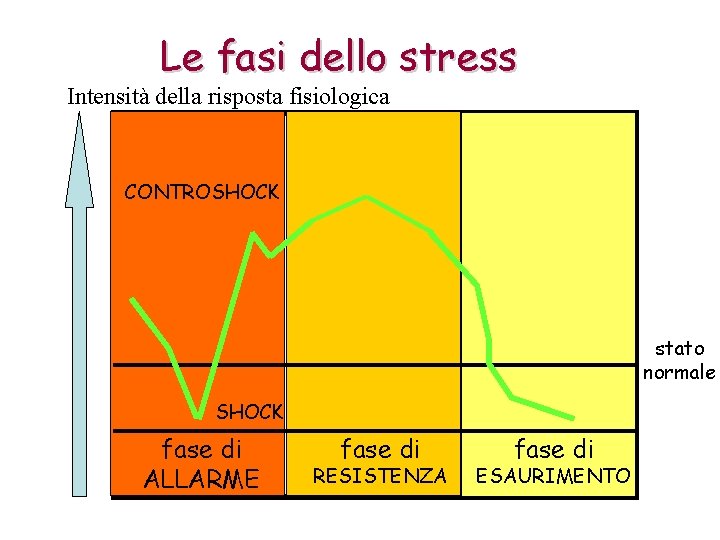 Le fasi dello stress Intensità della risposta fisiologica CONTROSHOCK stato normale SHOCK fase di