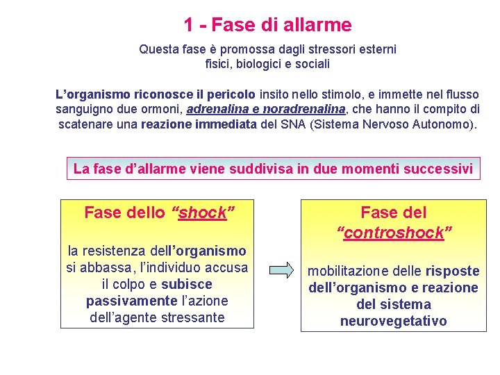 1 - Fase di allarme Questa fase è promossa dagli stressori esterni fisici, biologici