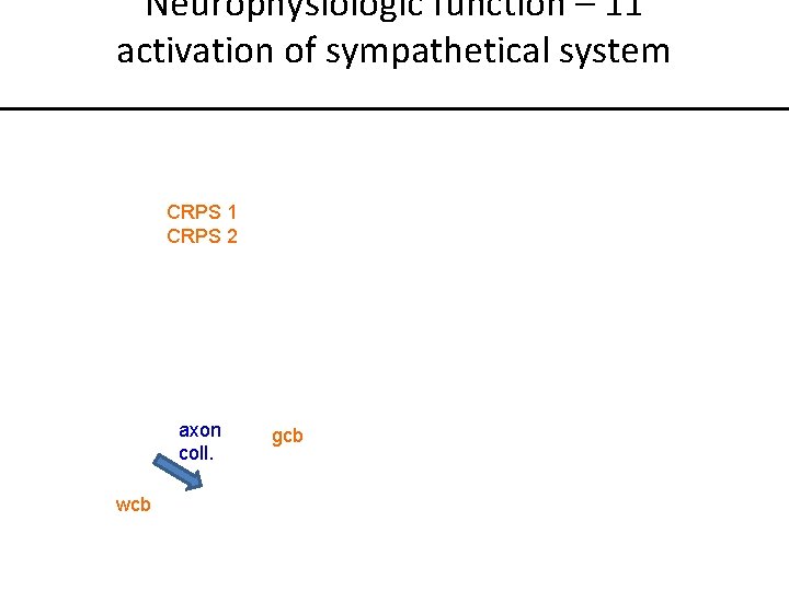 Neurophysiologic function – 11 activation of sympathetical system CRPS 1 CRPS 2 axon coll.