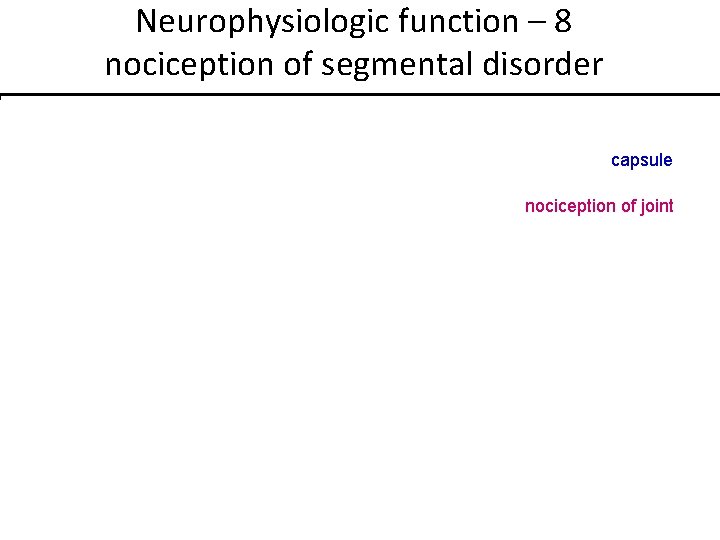 Neurophysiologic function – 8 nociception of segmental disorder capsule nociception of joint 