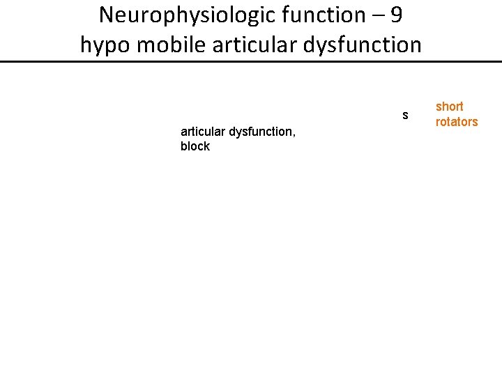 Neurophysiologic function – 9 hypo mobile articular dysfunction s articular dysfunction, block short rotators