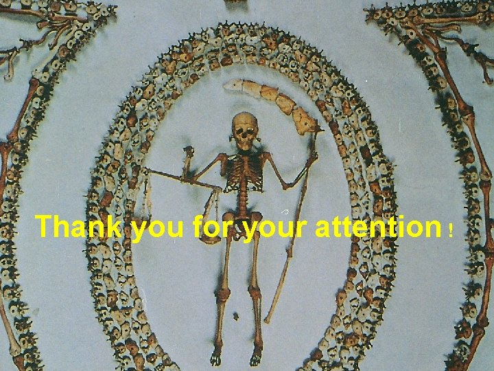 Thank you for your attention ! 